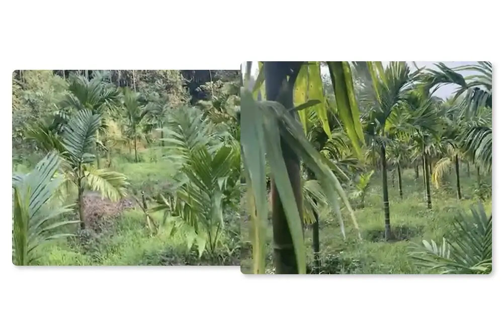 Opulent Penthouse with Rooftop Deck